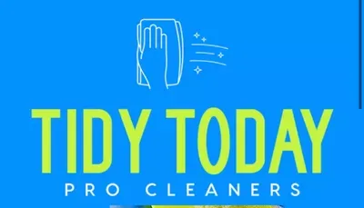 Tidy Today Pro Cleaners