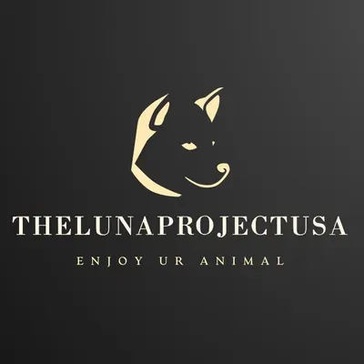 Thelunaprojectusa