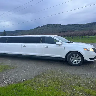 Elegant Limousine and Charter