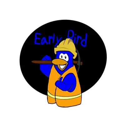 Early Bird Irrigation & Landscaping