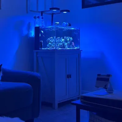 Houston’s Aquarium Services