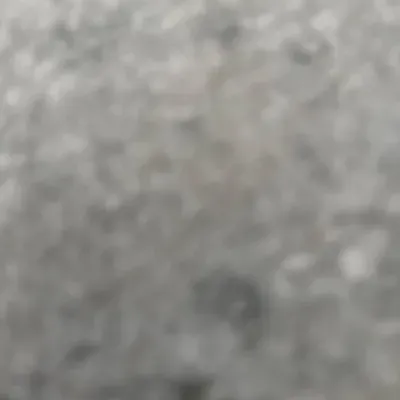 Ol
