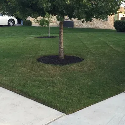 Irrigation & Lawn Ranger