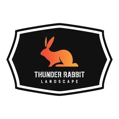 Thunder Rabbit