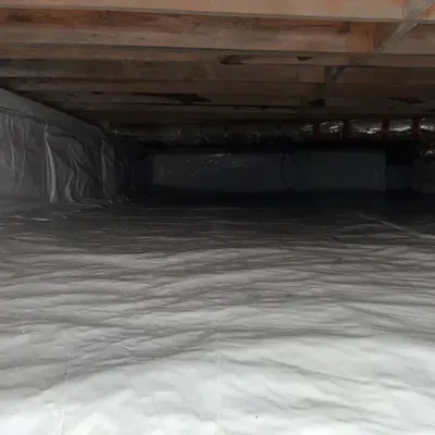T & A Crawlspace Services