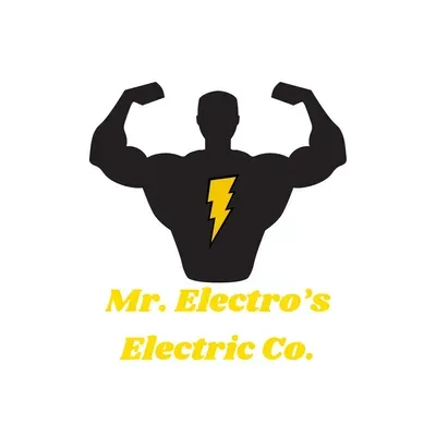 Mr electro’s electric co