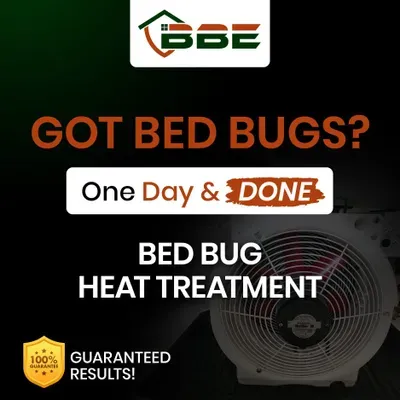 Bed Bug Exterminator