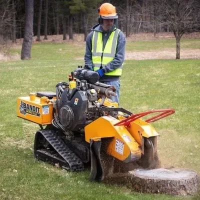 DMV STUMP REMOVAL
