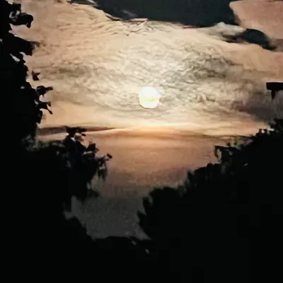 Bugzout Pest Services B#3634