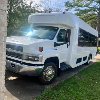 Mikes limo