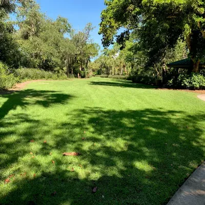 PRISTINE LANDSCAPING & SERVICES