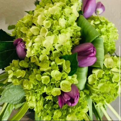 Klayouhs  Floral Design