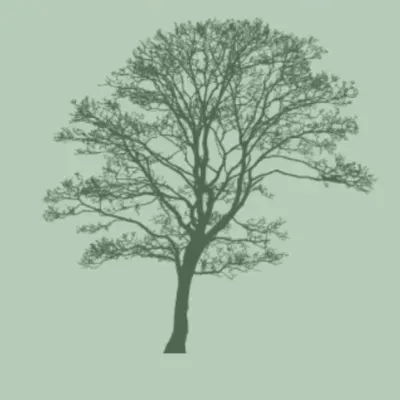 GreenGrove landscaping