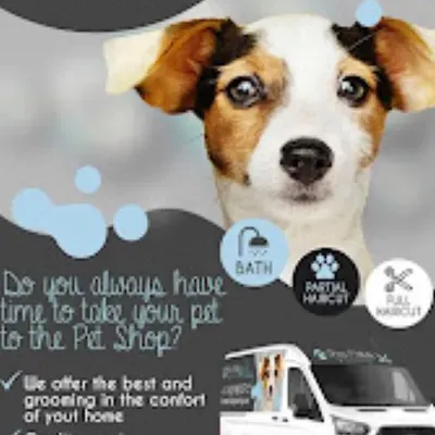 Shine Mobile Grooming