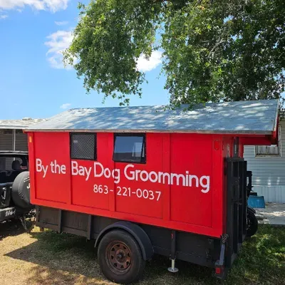By the Bay Dog Grooming