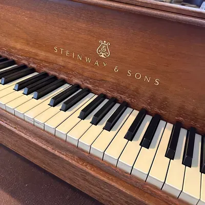 Absolute Piano Restoration & Tuning