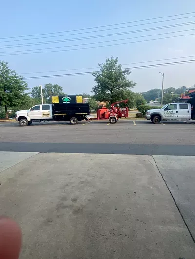 Z&M Tree Service