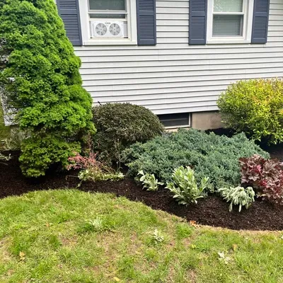 MP contractor services