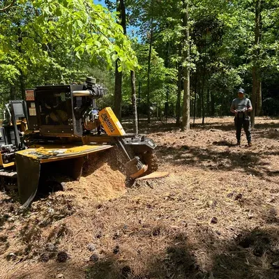 Progrind Stump removal llc