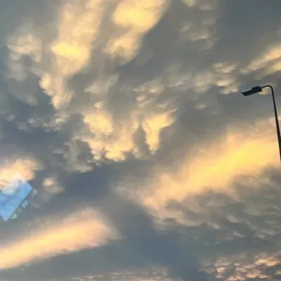 Events with Madalyn