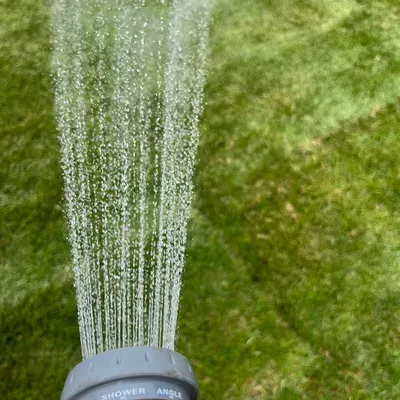 Ulloa Landscaping
