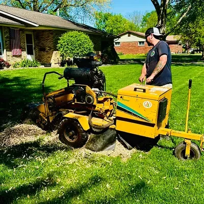 JJ’s Stump Removal and property maintenance