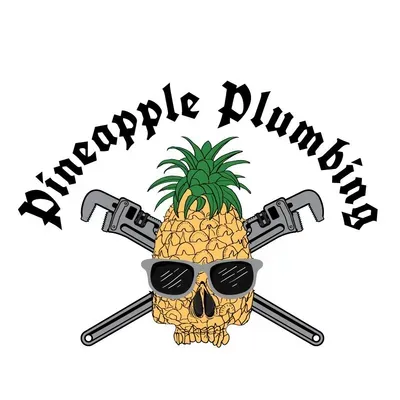 Pineapple plumbing llc