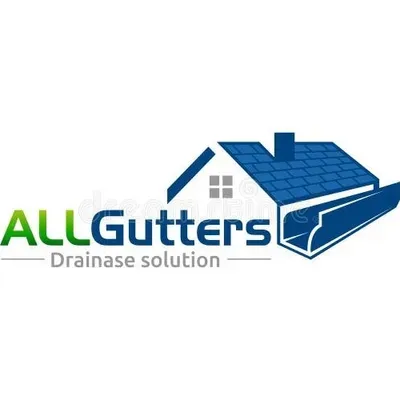 Davids clean stream gutters
