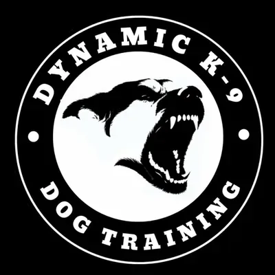Dynamic K-9 Dog Training