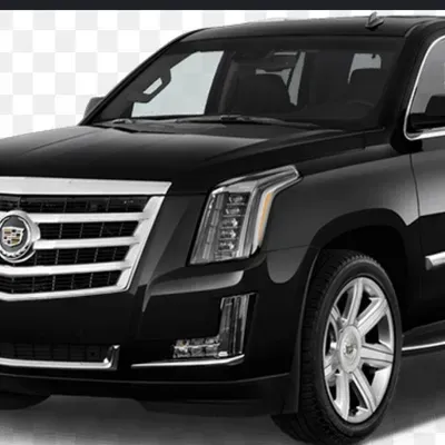 Elegant rides
