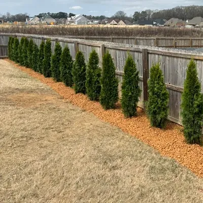 Shine bright landscape & home improvements