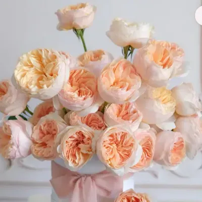 Au Carre Florals & Events