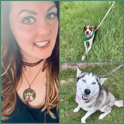 J&J property and Pet Care Services LLC