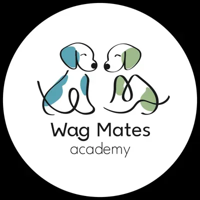 Wag Mates Academy, CA