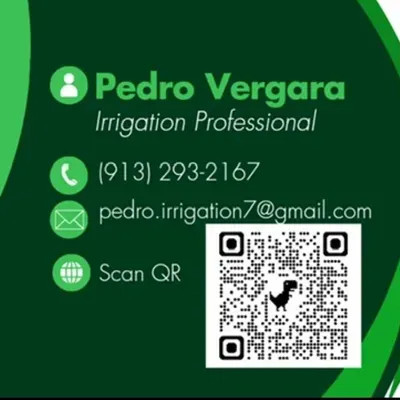 Pedro Vergara