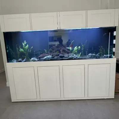 Thompson fish tank services