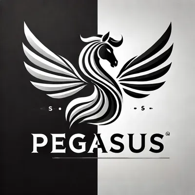 Pegasus Dryer Vent & Chimney Cleaning