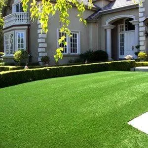 Elite Residential Turf