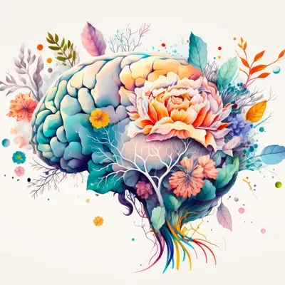 RTT Hypnotherapy | Soul With Sonia