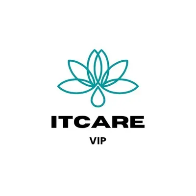 IT CARE VIP LLC
