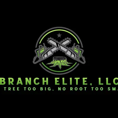 Branch Elite LLC
