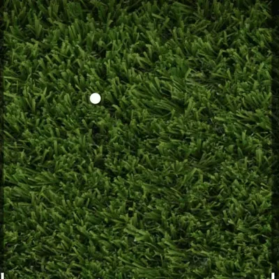 Panchos Lawn Service