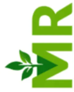 MR Landscape & Construction Inc