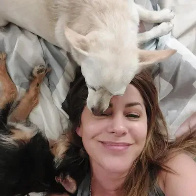 Sunshine Pet Sitting Services