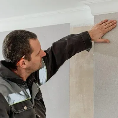 Da Vinci Wallpaper & Painting