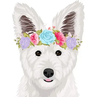 Hazy Baby Floral & Events