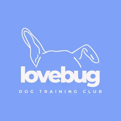 Lovebug Dog Training Club