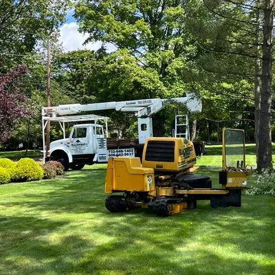Blackwood Tree Service