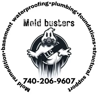 True Mold Busters llc