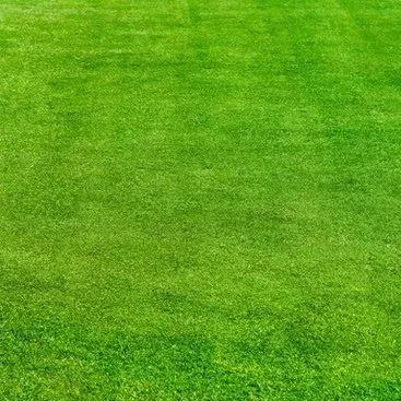 Prince Lawn Care & Landscaping